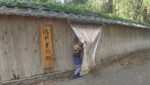 Thumbnail of related posts 172