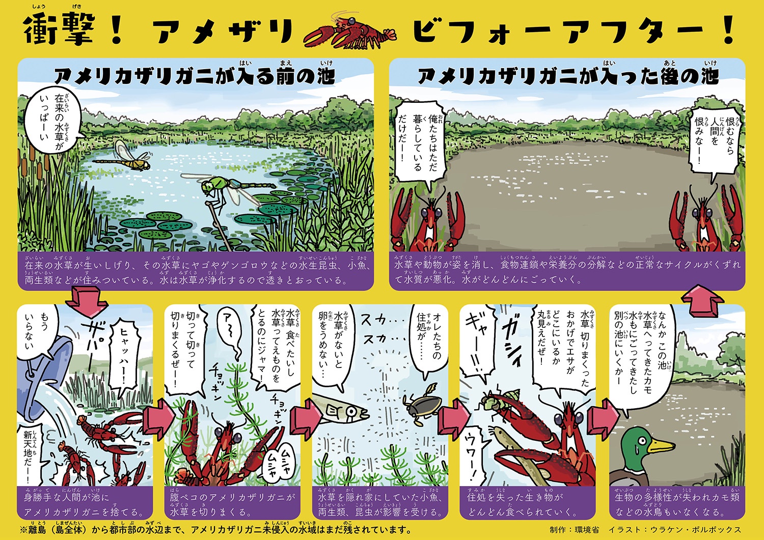 朴路美、潘めぐみ、ファイルーズあい、木村昴👈外国ルーツだからみんな外来種ザリガニなの？🦞  [485187932]
_239_239