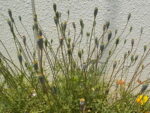 Thumbnail of related posts 031