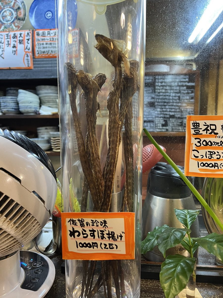 「福岡県」超有名。「長崎県」有名。その間にある「佐賀」👈ここには何があるの？  [179655992]
_56_56