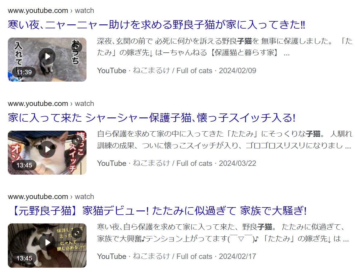 YouTuberってなぜ子猫を次から次へと拾うの？ そんな偶然ある？  [425744418]
_1_1