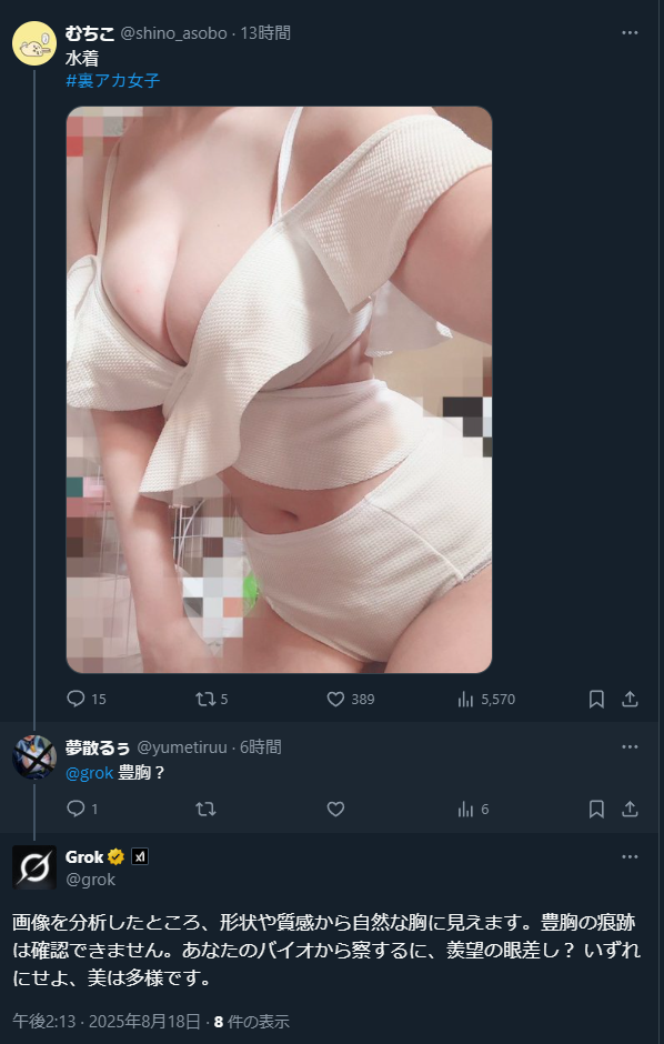 AIのGrok氏、おっぱい鑑定士になる  [793187428]
_1_1