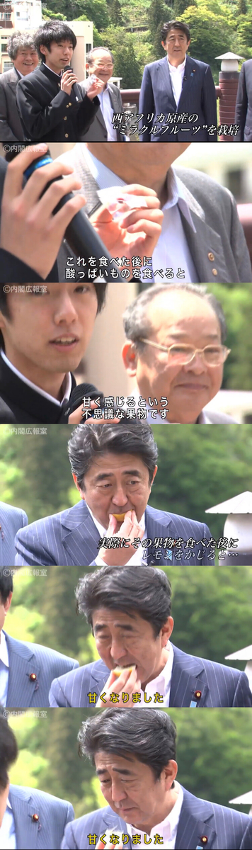安倍晋三「これは随分辛口だ」⇦これ本当に言ってるの？  [783219561]
_106_106
