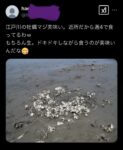 Thumbnail of post image 174