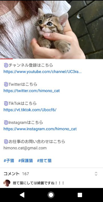 YouTuberってなぜ子猫を次から次へと拾うの？ そんな偶然ある？  [425744418]
_56_56