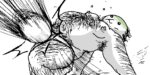 Thumbnail of post image 192