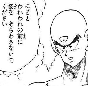 セルゲーム後の天津飯「もう皆に会うことはないと思うが……達者でな」👈 そんな寂しいこと言わなくても良くない？  [977261419]
_135_135