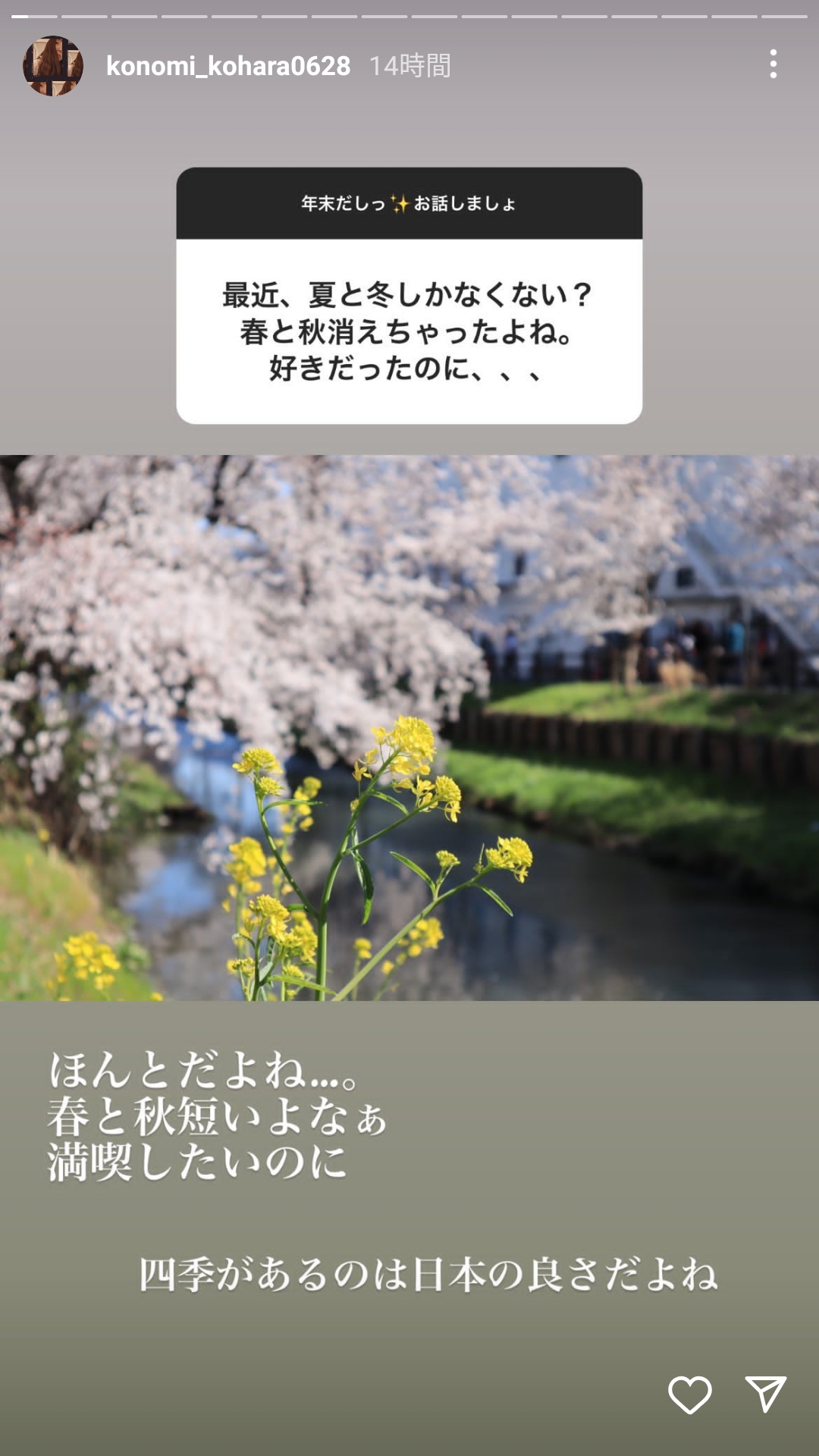 【シャミ子】声優・小原好美さんの魅力☺  [391189212]
_36_36