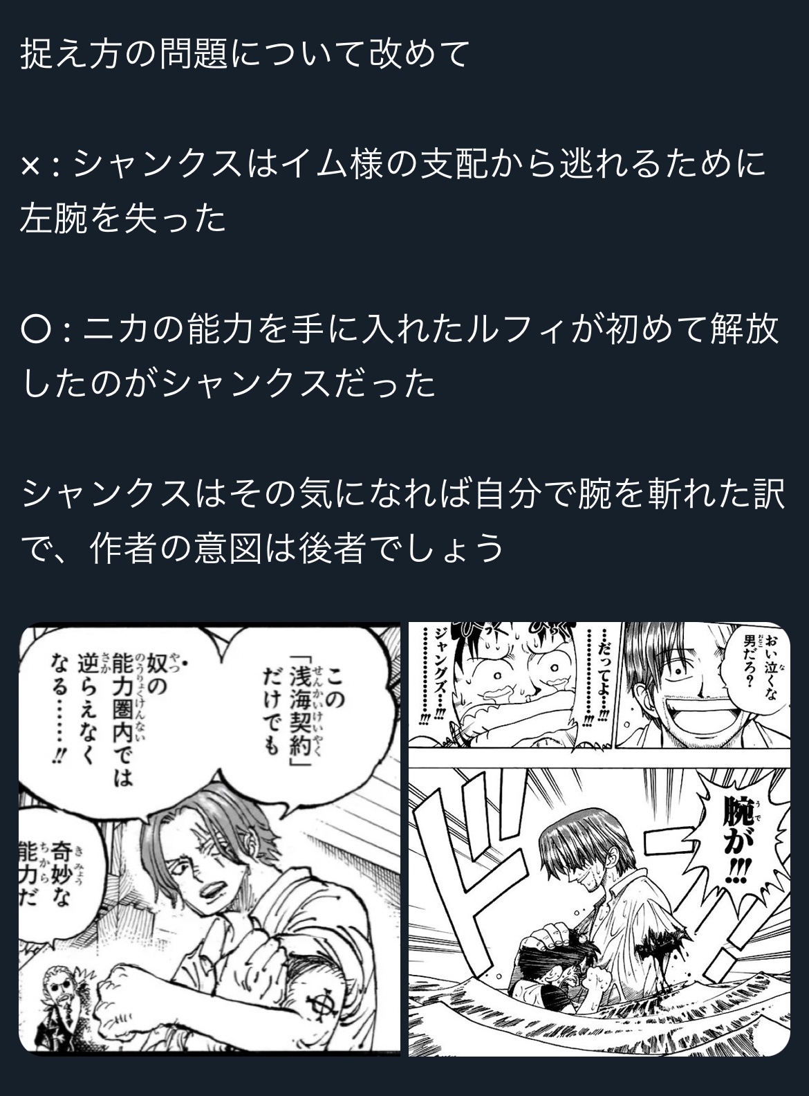 【高市衝撃】ワンピース、30年越しに衝撃の伏線回収。シャンクスの片腕の謎が明らかに..？！  [308389511]
_1_1