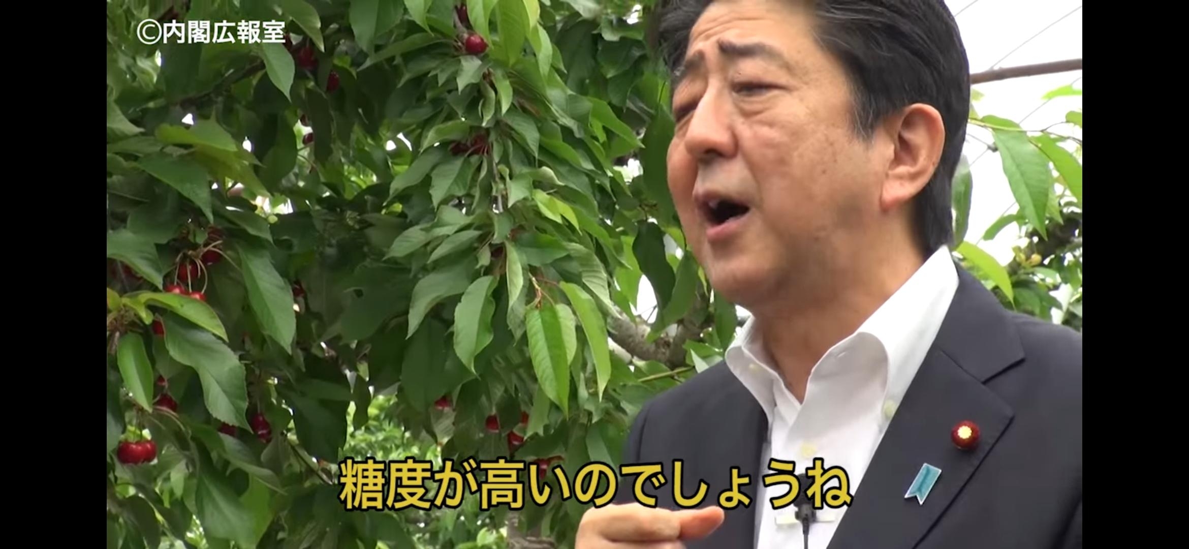 【快挙】ネトウヨの誇り『小林製薬』日本人のの一族経営から一転、中国ファンドが筆頭株主に塗り替わる🎊  [339712612]
_76_76