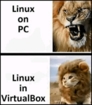 Thumbnail of related posts 193