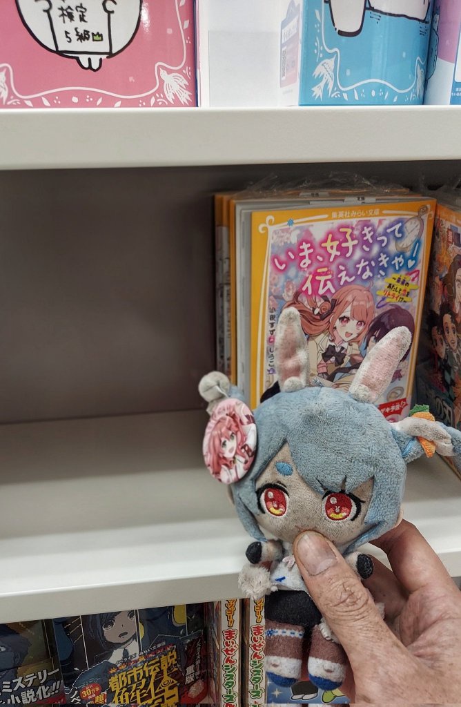 【悲報】「ぬい活」ガチで嫌われていた．．．．撮り鉄と同ランクな模様ｗｗｗｗｗｗｗ  [126026562]
_93_93