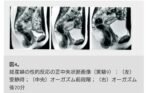 Thumbnail of post image 078
