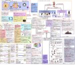 Thumbnail of post image 035